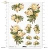 tea bright roses in bouquets. Slightly yellow roses, different sizes, rose, roses